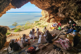 Socotra_2025 (23/76)